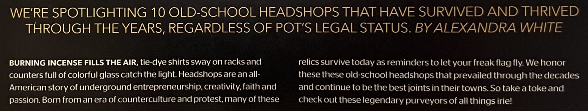 article in high times magazine about long-time headshops