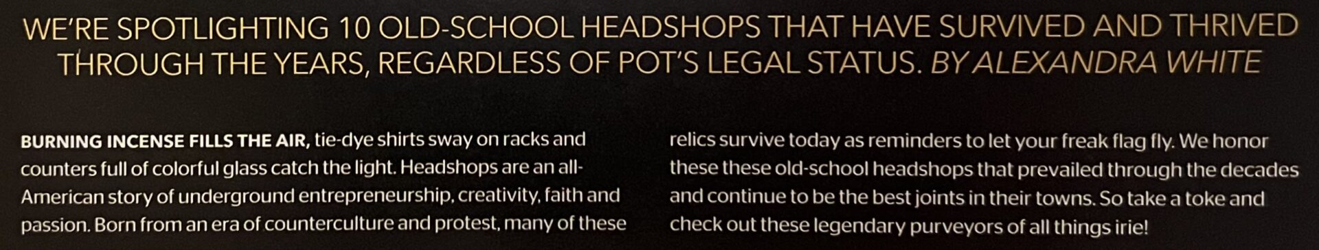 IMG_1370 article in high times magazine about long-time headshops